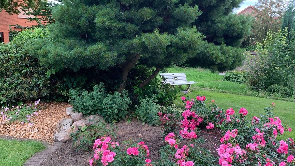 Amelinghausen House | Holiday home Gartenidylle
