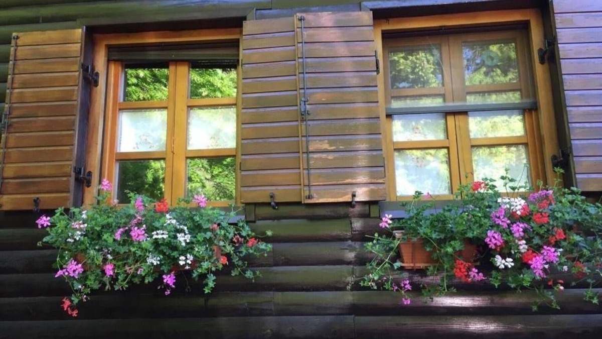 Cujica Krcevina House | Holiday Home Snow Hill with Swimming Pool