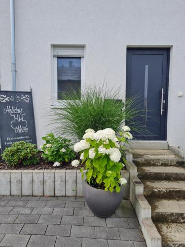 Suessen Apartment | Holiday Home IIa