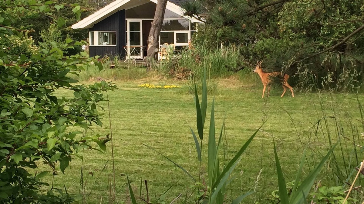 Sjllands Odde House | Holiday home in beautiful nature between two coasts