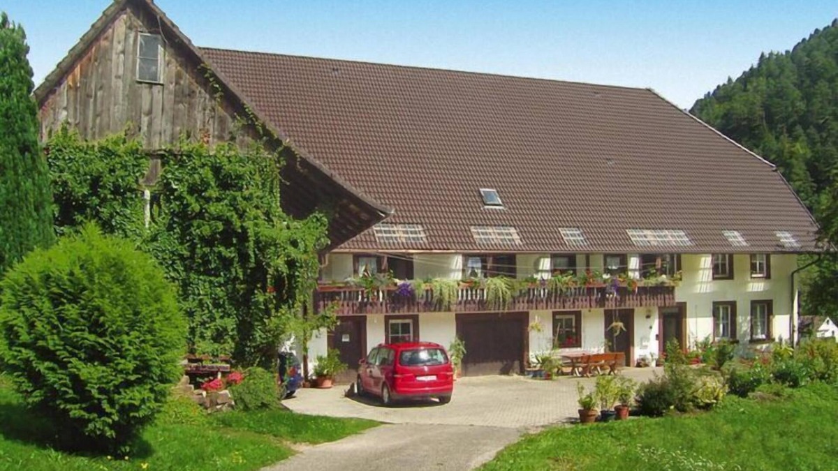 Niederwasser Apartment | Holiday Home in Hornberg near Triberg Falls