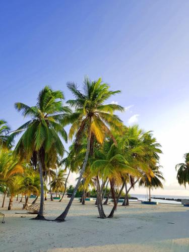 Kamadhoo House | Holiday home in Kamadhoo Island/Maldives