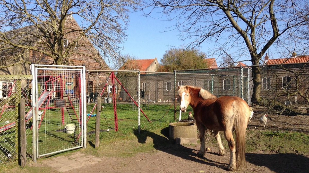 Municipality of Bergen op Zoom House | Holiday Home in Bergen op Zoom with Garden