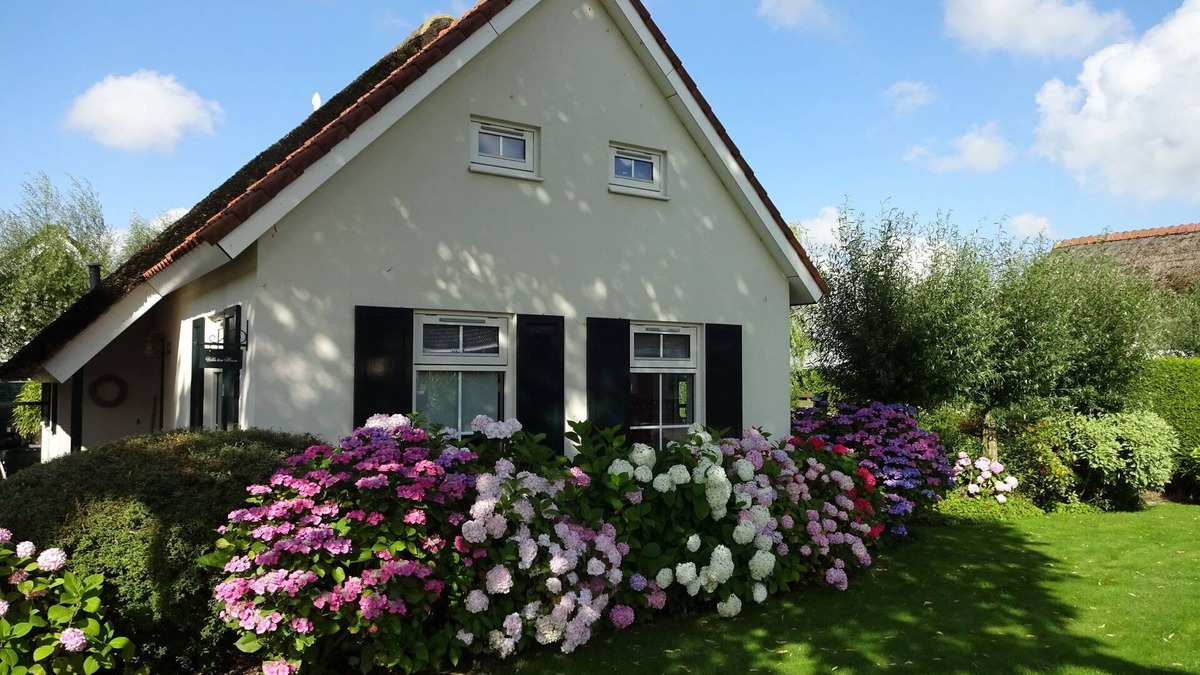 Steendam House | Holiday Home in Steendam by Schild Lake