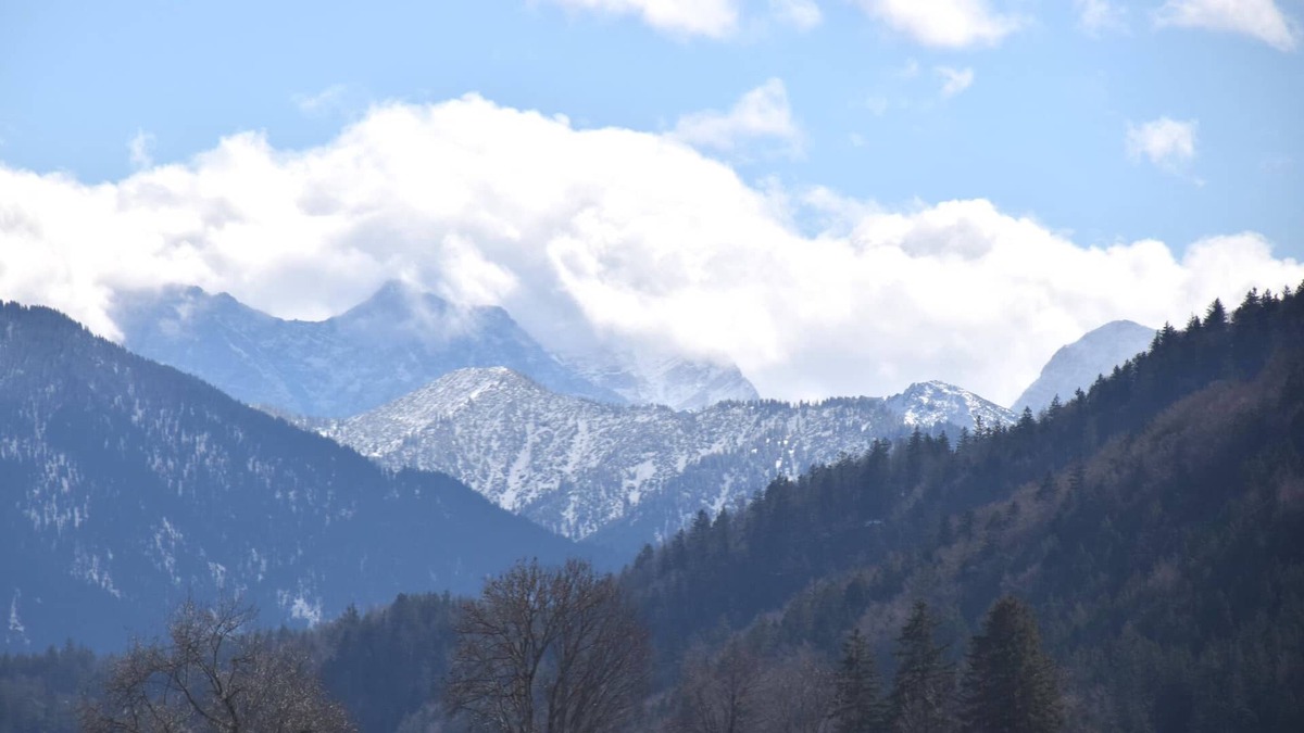 Schwarzenbach House | Holiday home Karwendel