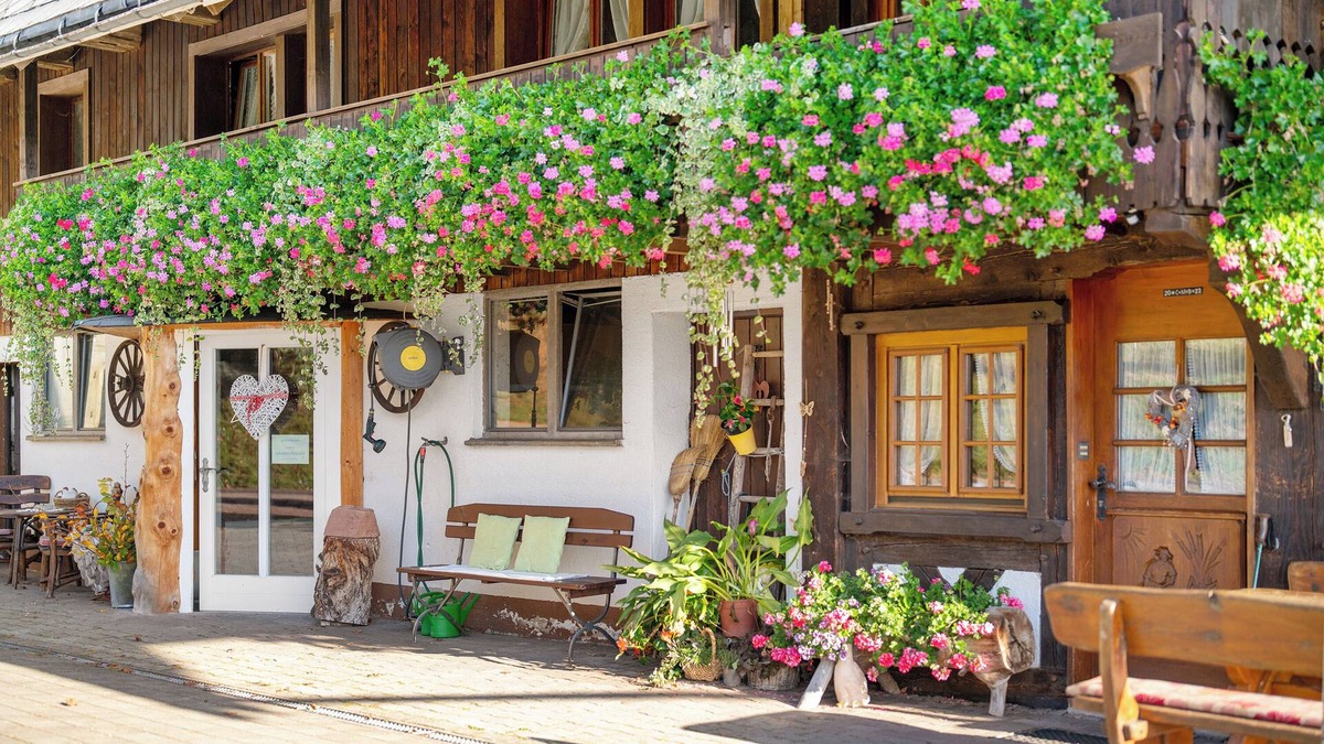 Hornberg House | Holiday Home 'Krährbauernhof Mit Eventraum 3 Fewo' with Mountain View