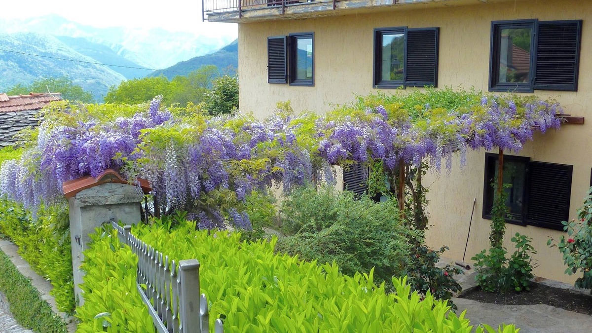 Musignano House | Holiday home Lake Maggiore, Casa 1 - Musignano near Maccagno