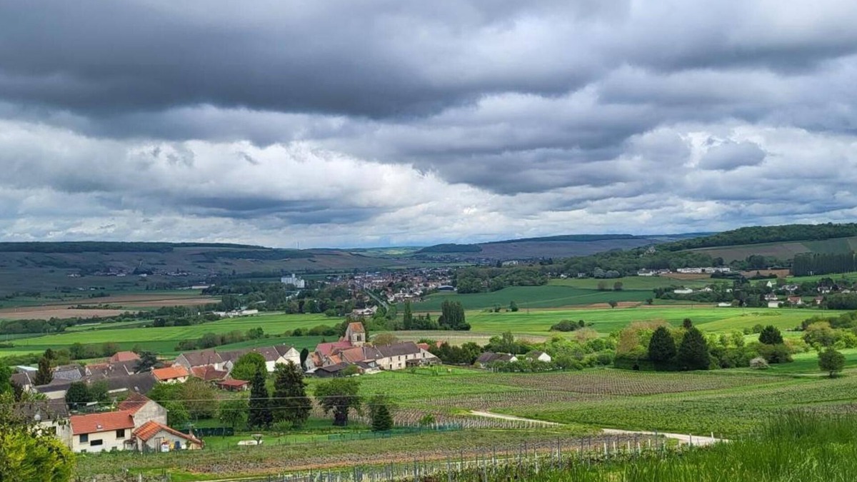 Dormans House | Holiday Home 'Le Coq De Champagne' with Mountain View, Wi-Fi and Air Conditioning