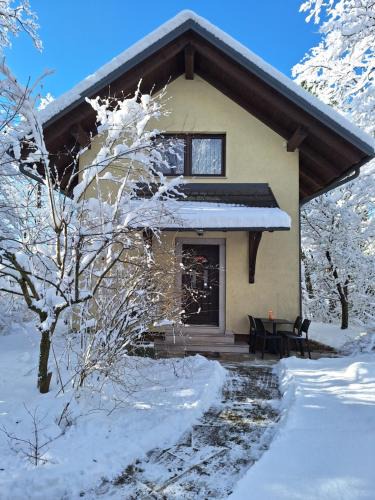 Kranj House | Holiday Home Lemut