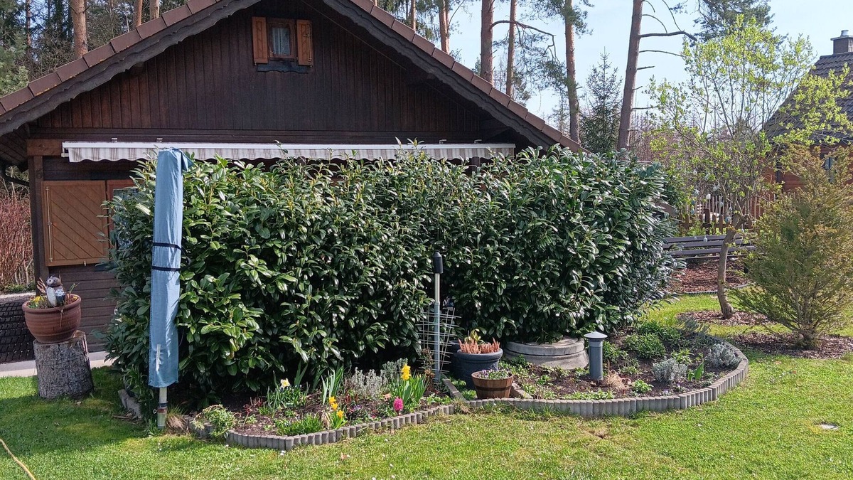 Drognitz House | Holiday Home 'Obert - Drognitz' with Private Terrace, Shared Garden and Wi-Fi