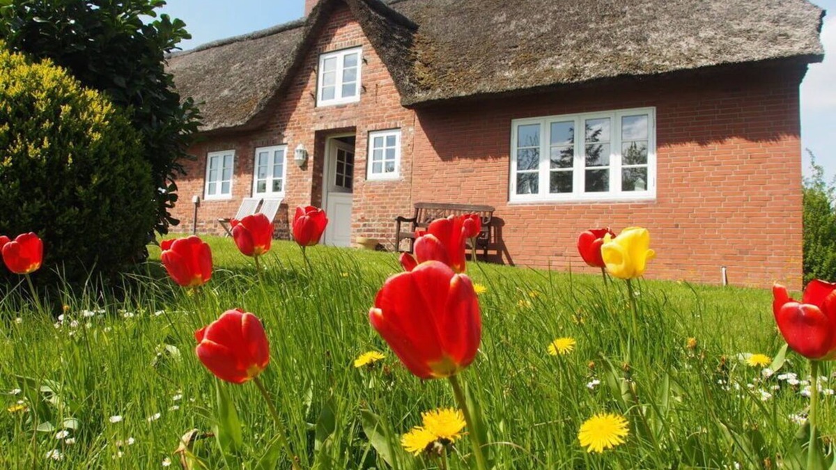 Fedderswarf Apartment | Holiday home Ockholm