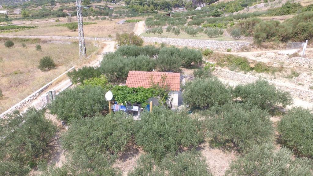 Bol House | Holiday home Oliva cottage