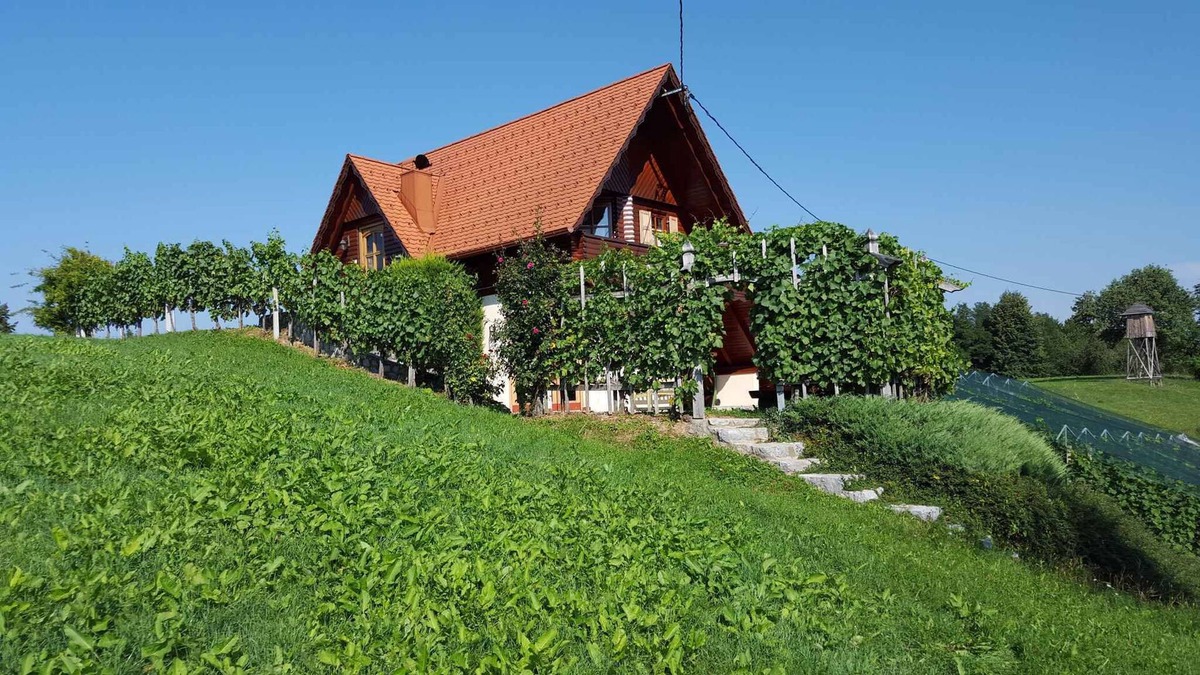 Novo Mesto House | Holiday home on vineyard