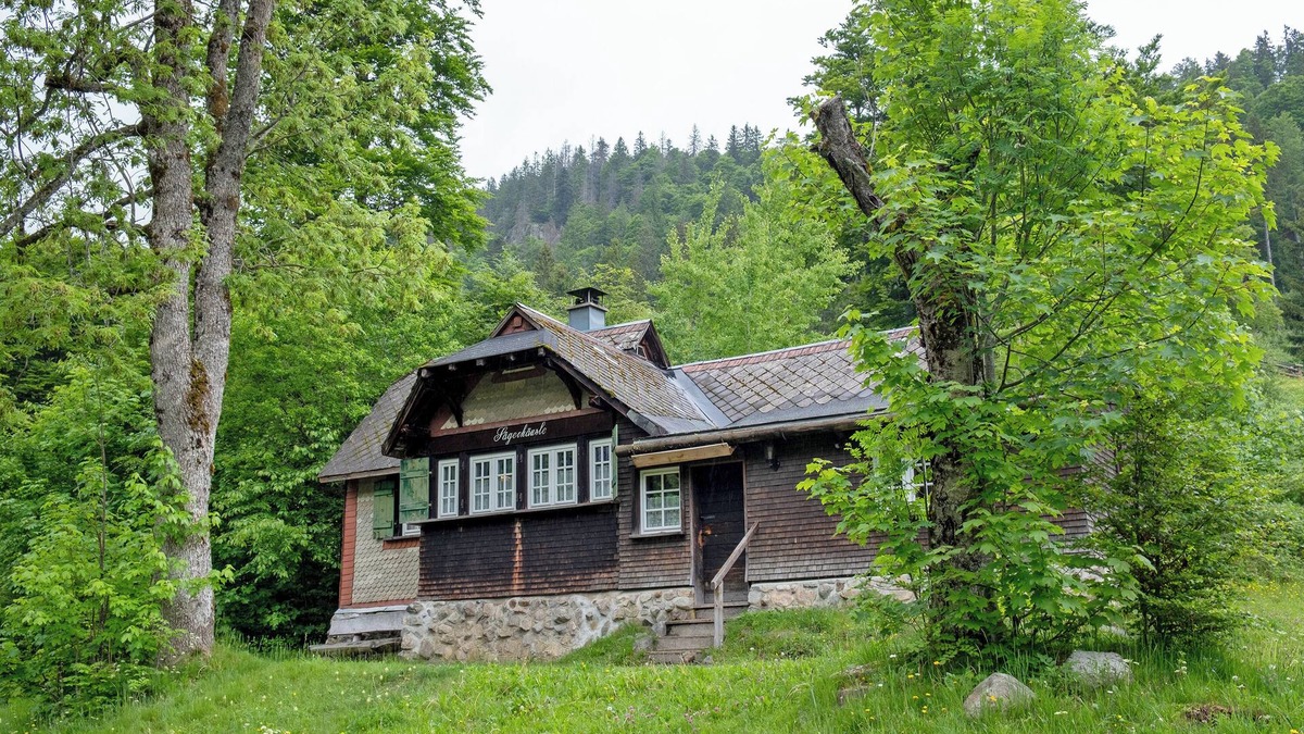 Feldberg House | Holiday Home 'Sägerhäusle' with Mountain View