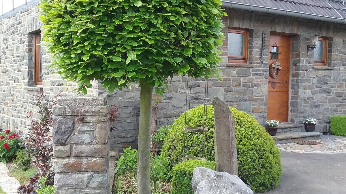 Nideggen House | Holiday home Siebenstein near the Rursees and the beach Eschauel