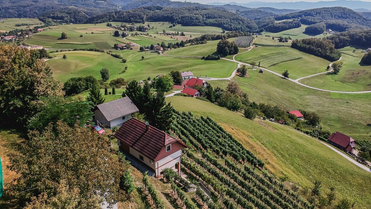 Krsko House | Holiday Home Sunny with balcony&view at vineyard