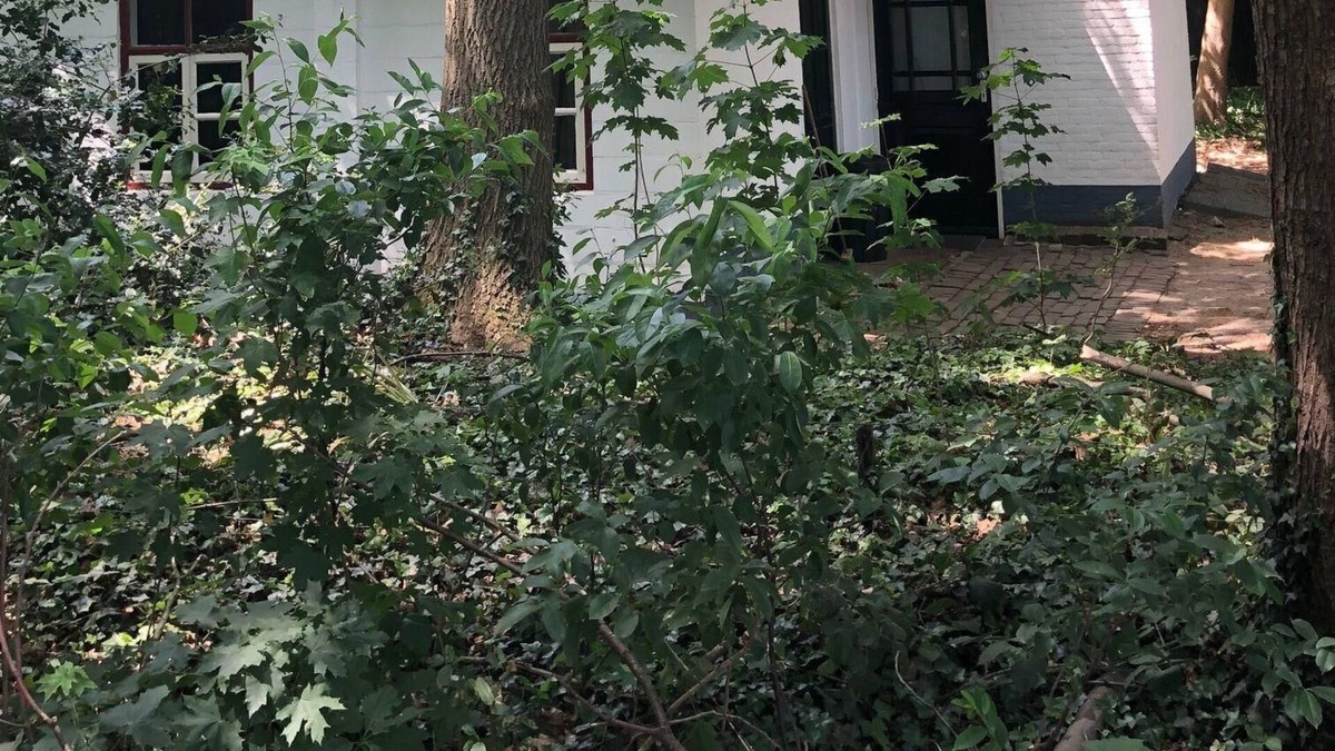 Beesel House | Holiday home Waldhaus