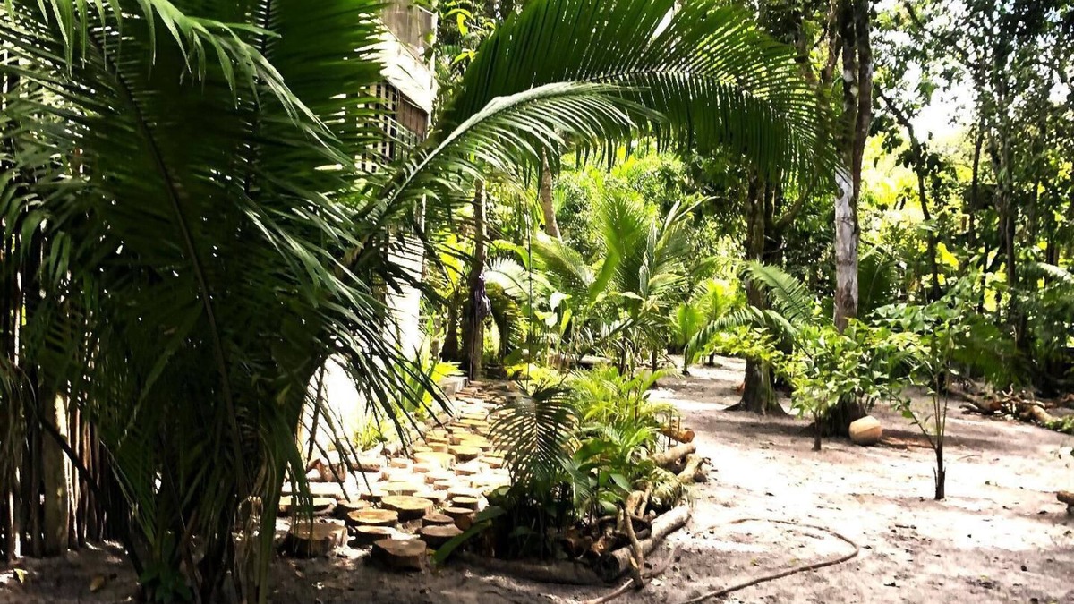 Ilha de Boipeba House | Holiday house Morro de Sao Paulo for 1 - 6 persons with 1 bedroom - Holiday house