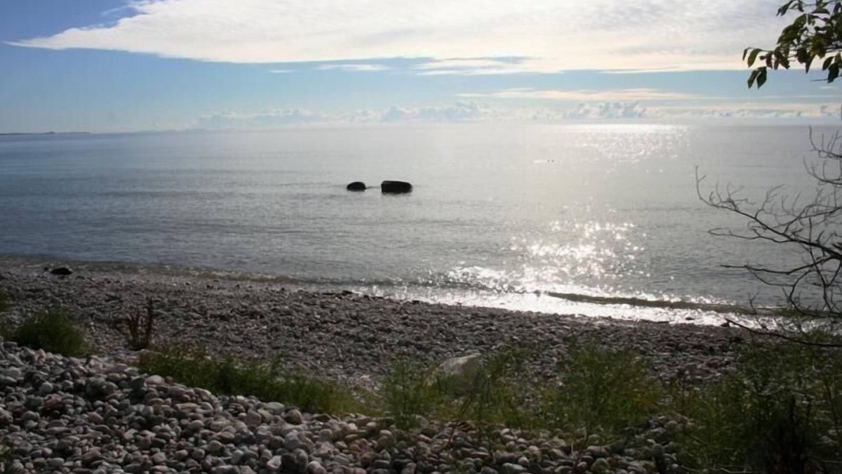 Abbekas House | Holiday house Abbekås for 1 - 2 persons with 1 bedroom - Holiday home