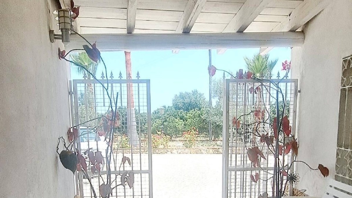 Silves House | Holiday house Algoz for 1 - 6 persons with 3 bedrooms - Holiday house