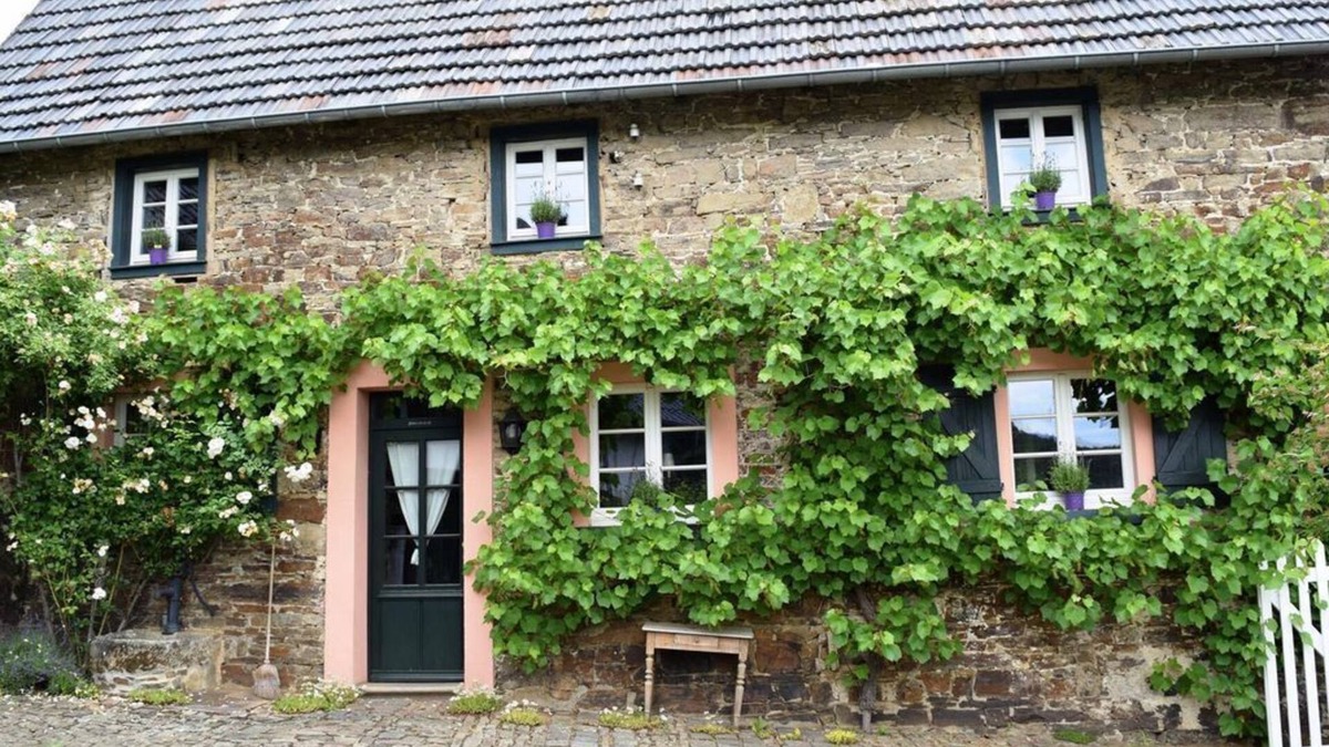 Antweiler Apartment | Holiday house "Altes Steinhaus" (max 9 persons) - Landhaus am Aremberg