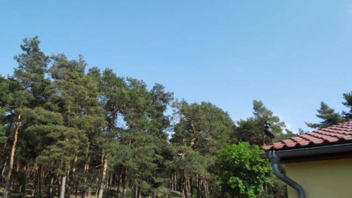 Westerhausen House | Holiday house "Am Wald" - Fam. Keilholz - Holiday House "Am Wald"
