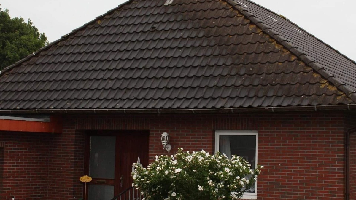 Hobendeich House | Holiday house Augustgroden for 1 - 4 persons with 3 bedrooms - Holiday house
