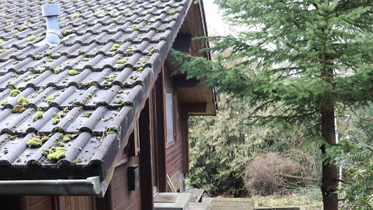 Leiberg House | Holiday house Bad Wünnenberg for 1 - 8 persons with 3 bedrooms - Holiday home