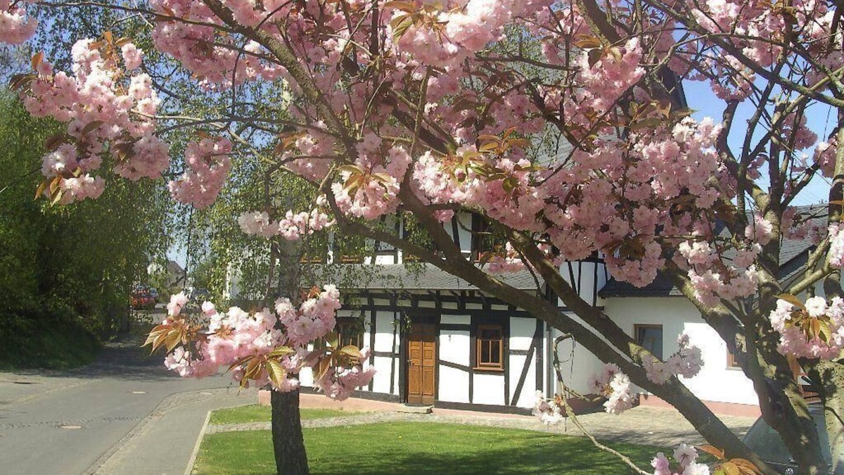 Frankweiler House | Holiday house Beltheim for 1 - 8 persons with 4 bedrooms - Holiday house
