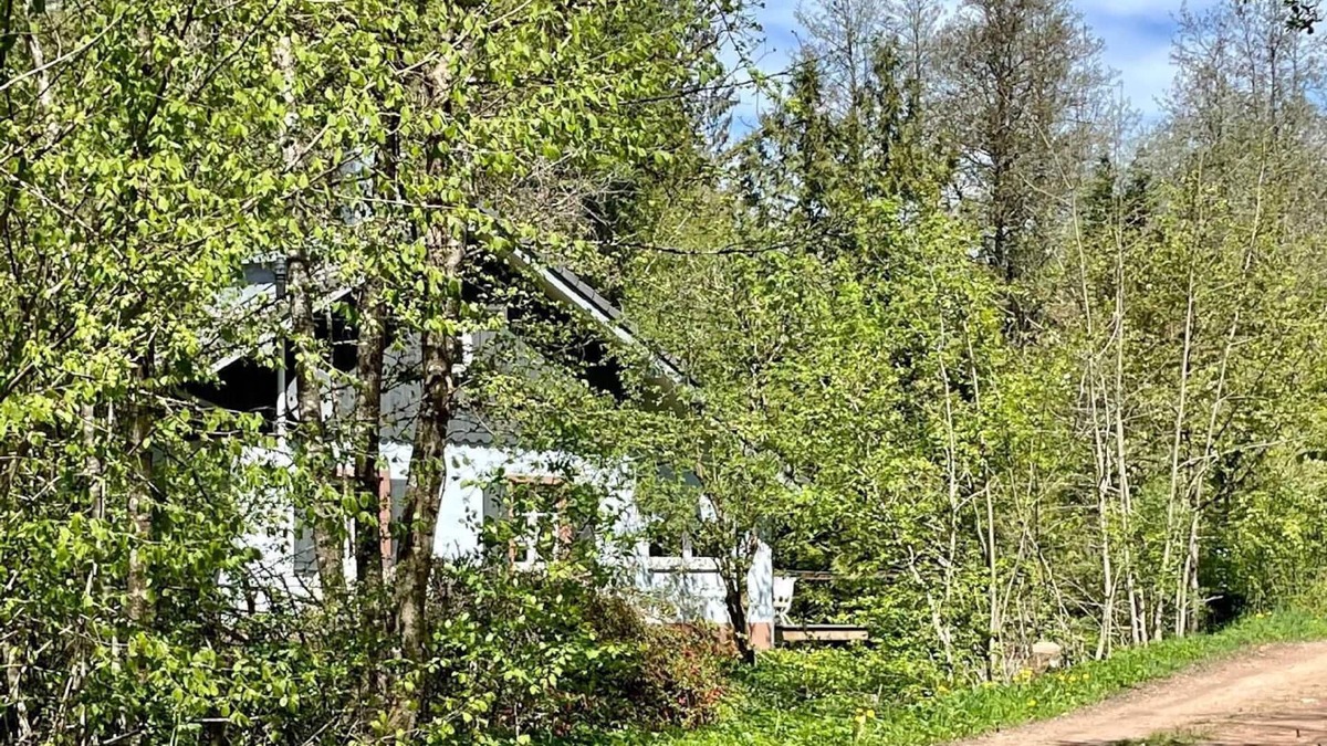 Hasel House | Holiday house Hasel for 2 - 6 persons with 2 bedrooms - Holiday home