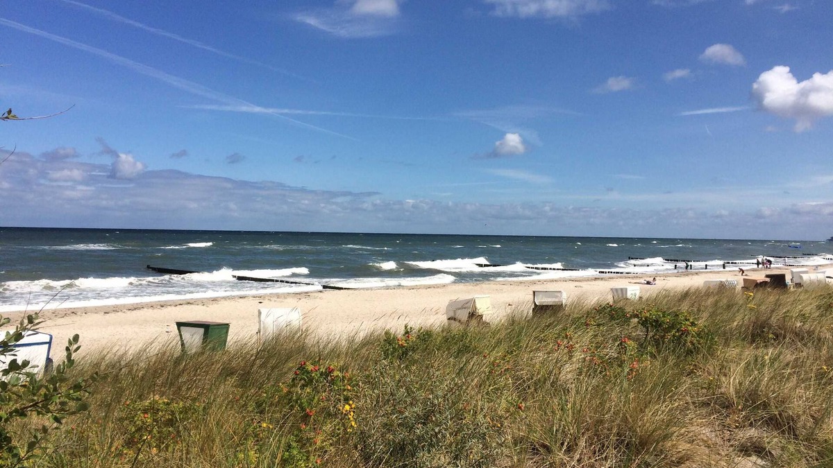Stulow Apartment | Holiday house holiday