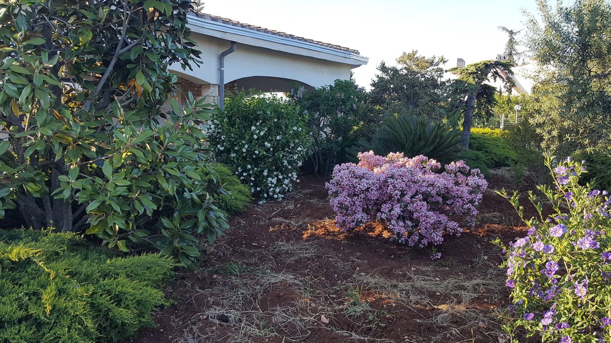 Conversano Villa | Holiday house La civetta Rodonisa