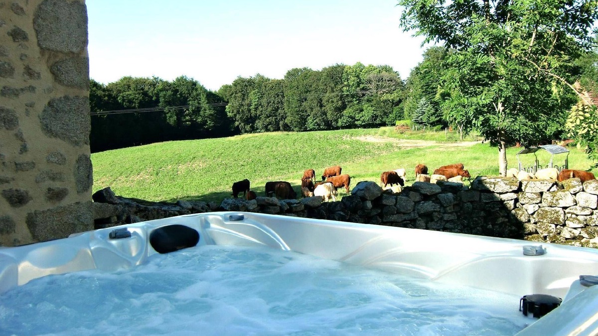 Roumegoux House | Holiday house Le Rouget for 4 persons with 2 bedrooms - Row house