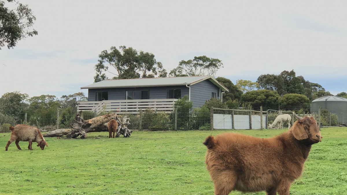 Grantville House | Holiday House on 6 acres (Farm Stay)