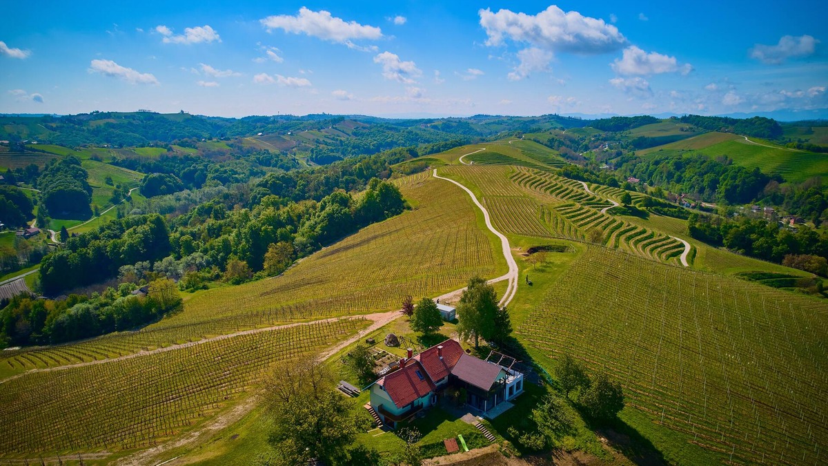 Ljutomer Cottage | Holiday House Podhamer Boris with private Wellness