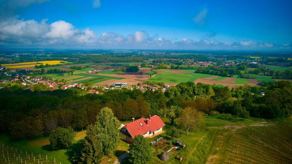 Ljutomer House | Holiday house Podhamer Marijan