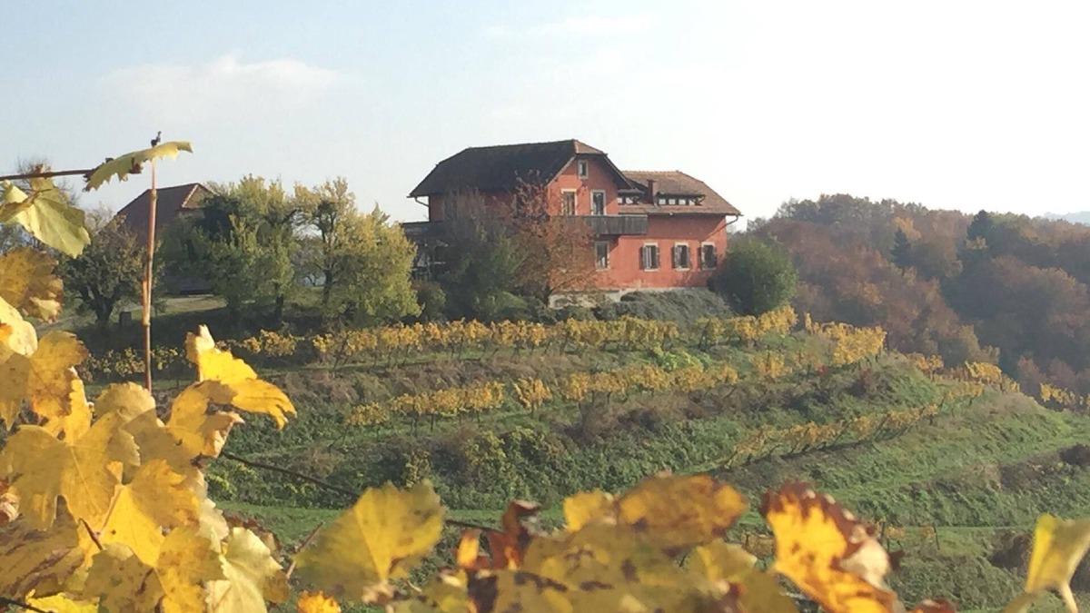 Videm House | Holiday house Ptuj for 1 - 12 persons with 4 bedrooms - Holiday house
