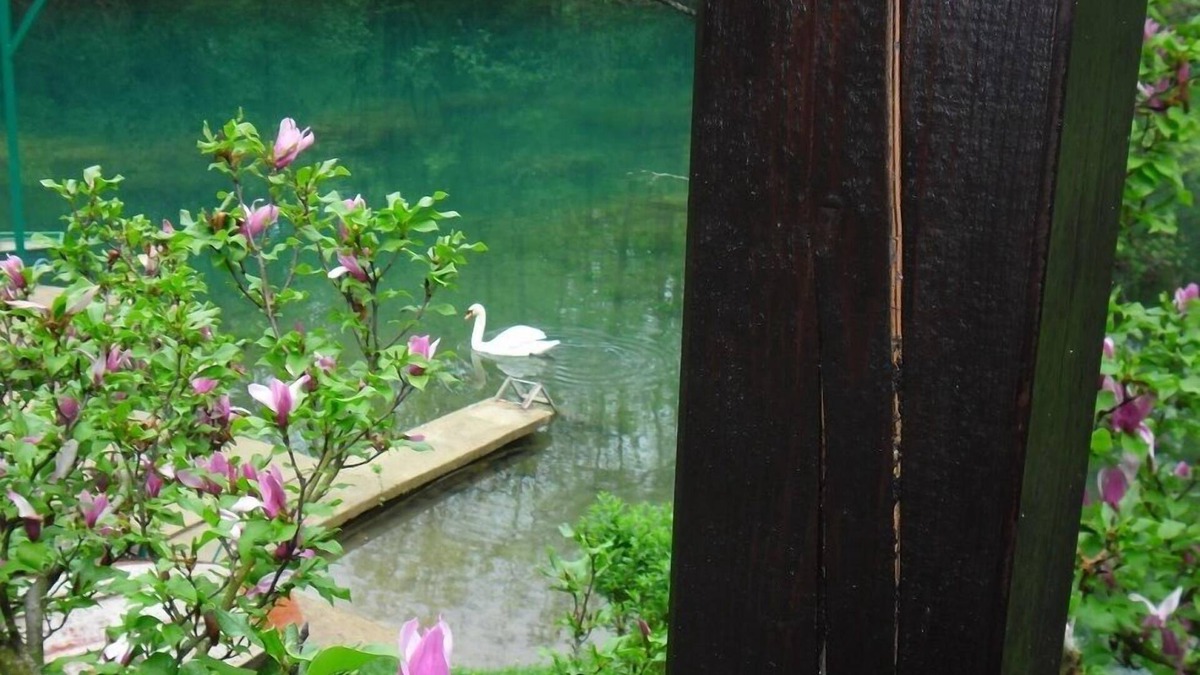 Generalski Stol House | Holiday house " Sonja" on the river Mrežnica for relaxing or active holidays