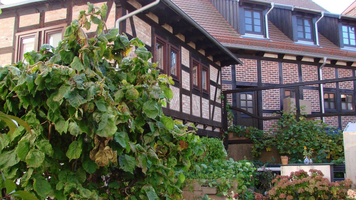 Wolgast Apartment | Holiday house Sontag - Holiday house