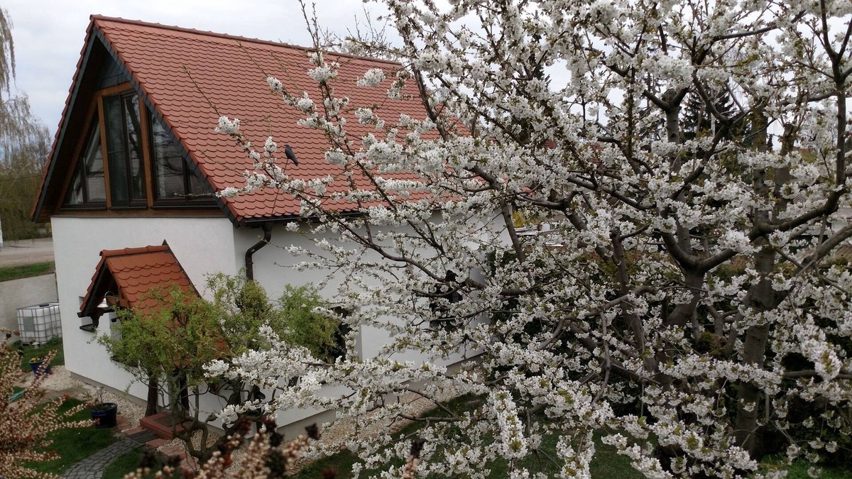 Erfurt House | Holiday house To the old driving school