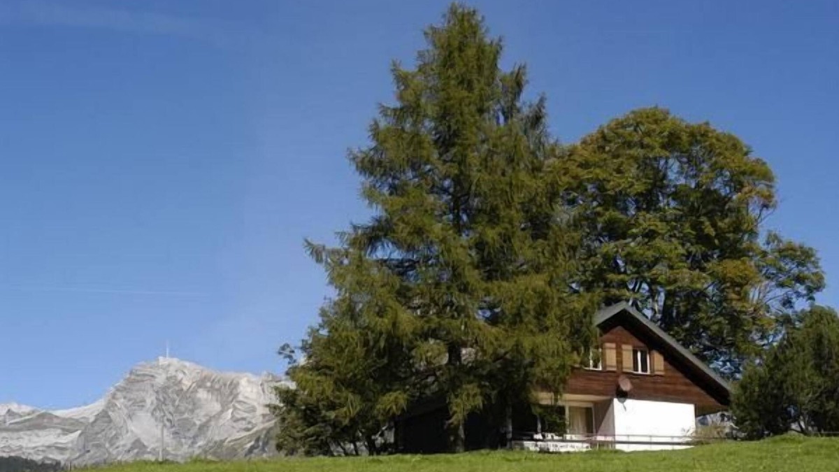 Wildhaus-Alt St. Johann House | Holiday house Wildhaus for 1 - 8 persons with 4 bedrooms - Holiday house