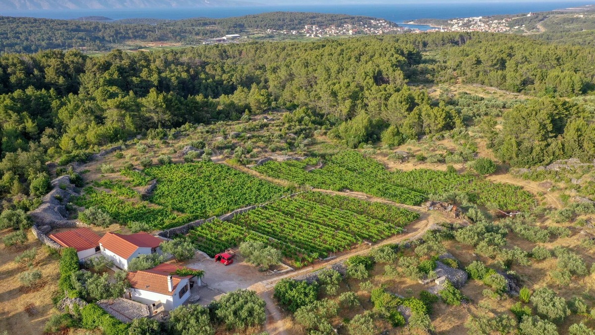 Pitve House | Holiday house with a parking space Pitve, Hvar (K-17397)
