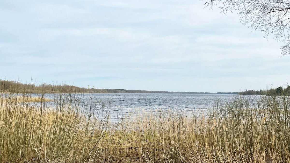 Ryssby House | Holiday house with central location 17 km from Ljungby | SE06047