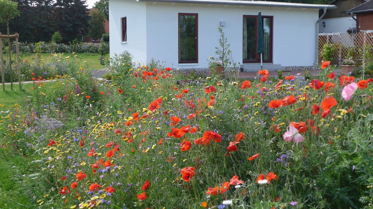 Goldenbek House | Holiday house with garden near the Baltic Sea