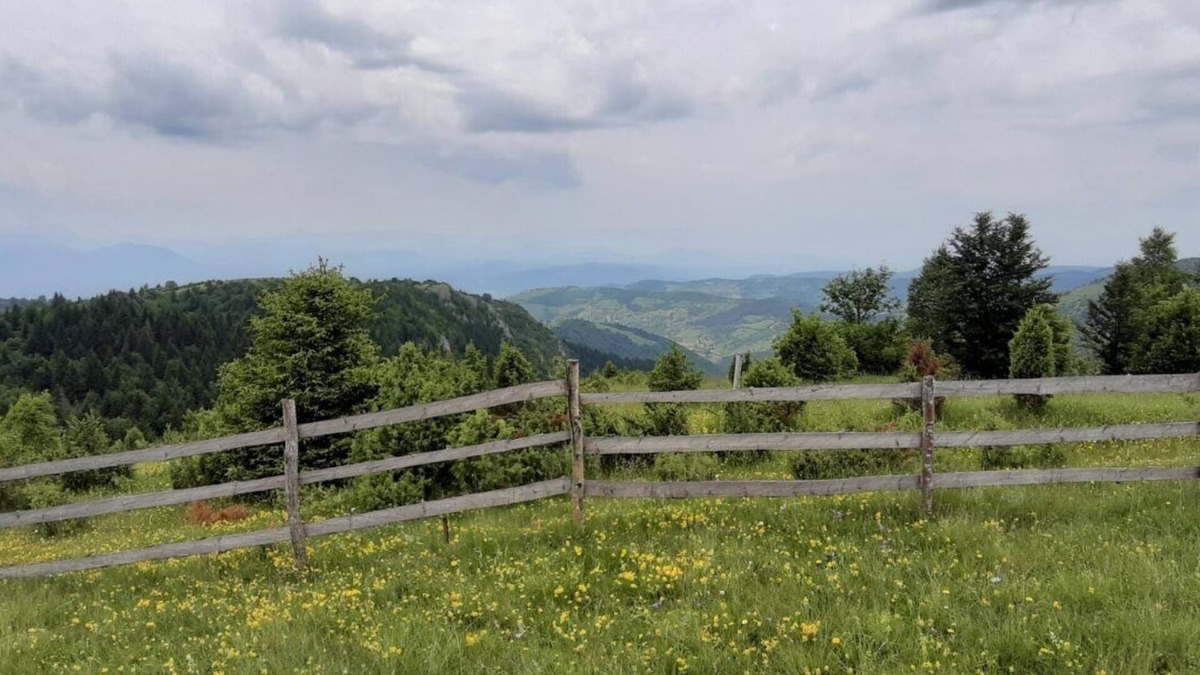 Sarajevo Canton Bed & Breakfast | Holiday in the forest with beautiful view of the city of Sarajevo