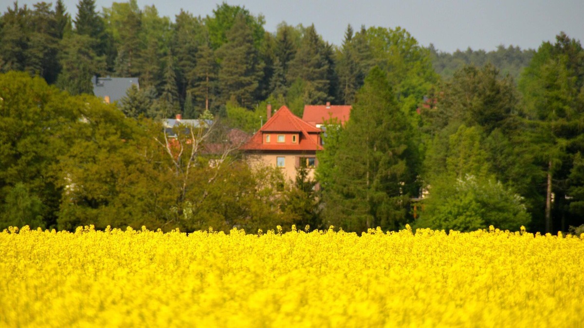 Dahlen Apartment | Holiday in the heart of Saxony in the Dahlen Heath between Leipzig and Dresden