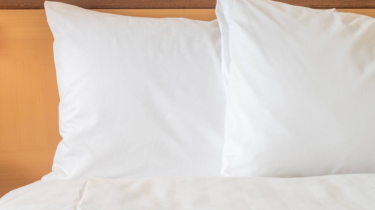 Ludlow Hotel | Holiday Inn Express Ludlow by IHG