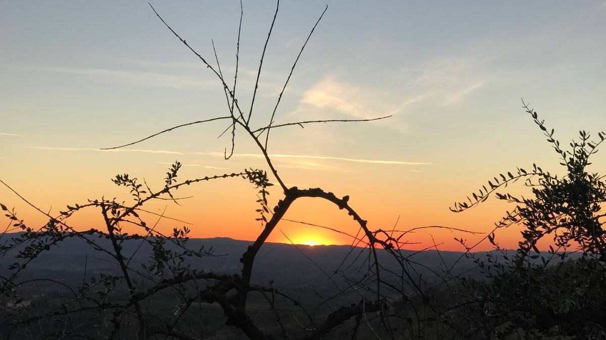 Magliano Apartment | Holidays In The Heart Of Chianti