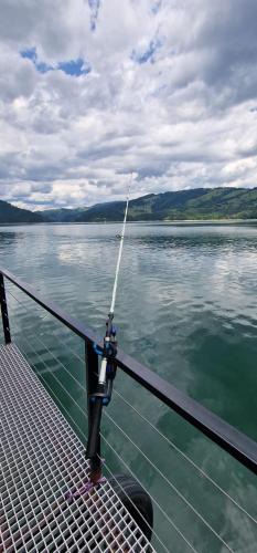Bicaz Other | Holiday Lake House