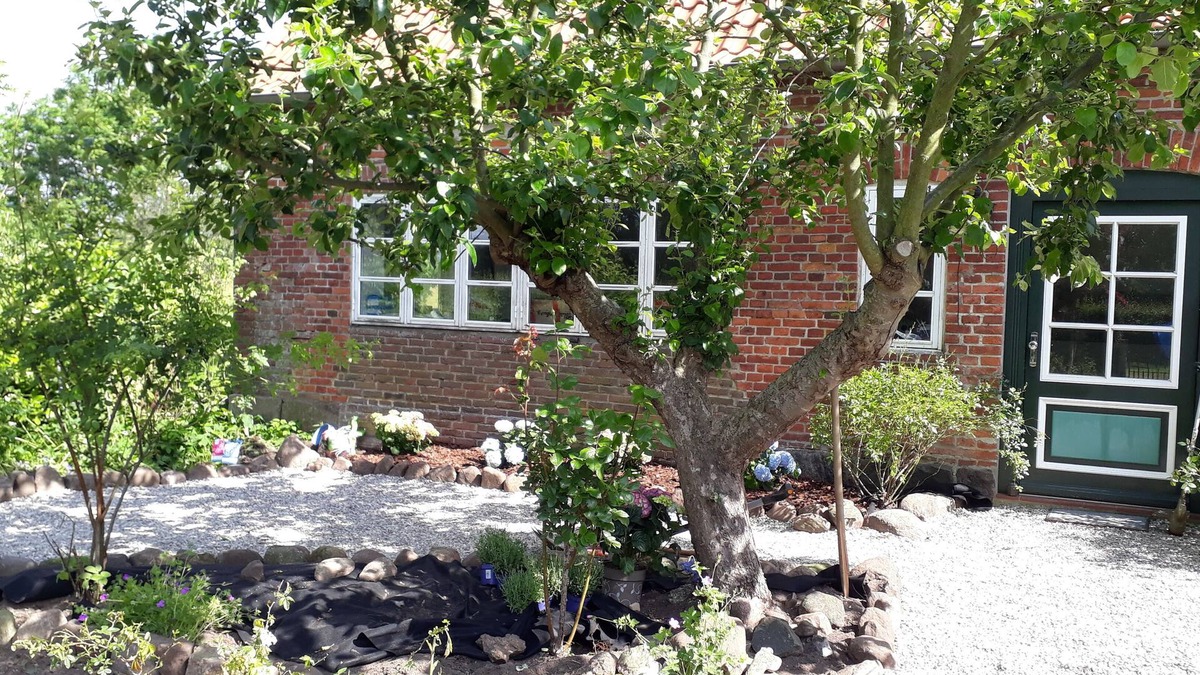 Waabs Apartment | Holiday on the Gutshof-bright and friendly apartment near the Baltic Sea